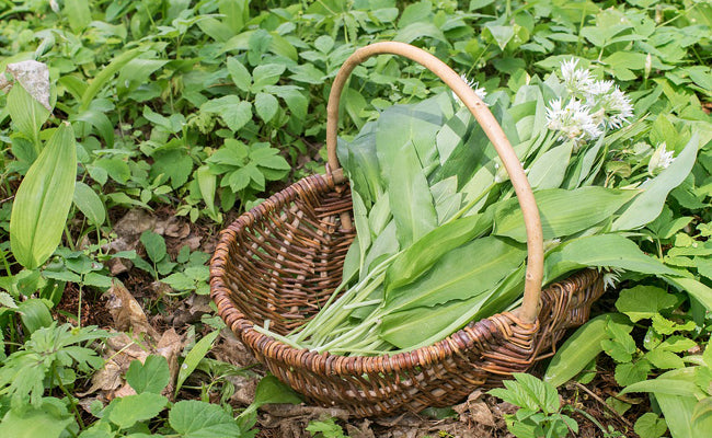 Pack de 1 séance de suivi Chrono-nutrition + Paniers de fleurs sauvages  à la semaine